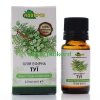 Thuja Essential Oil, Adverso, 100% Natural
